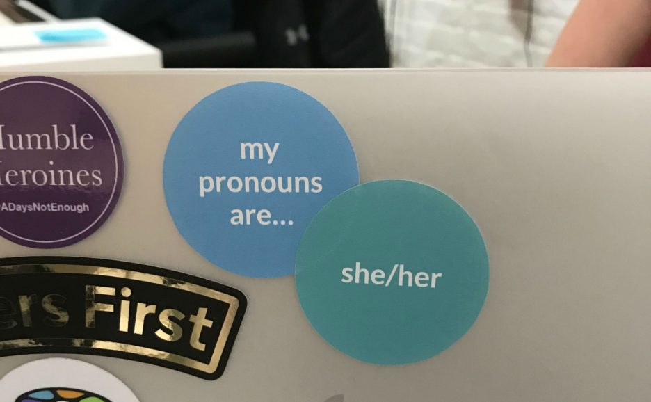 dxw pronoun stickers